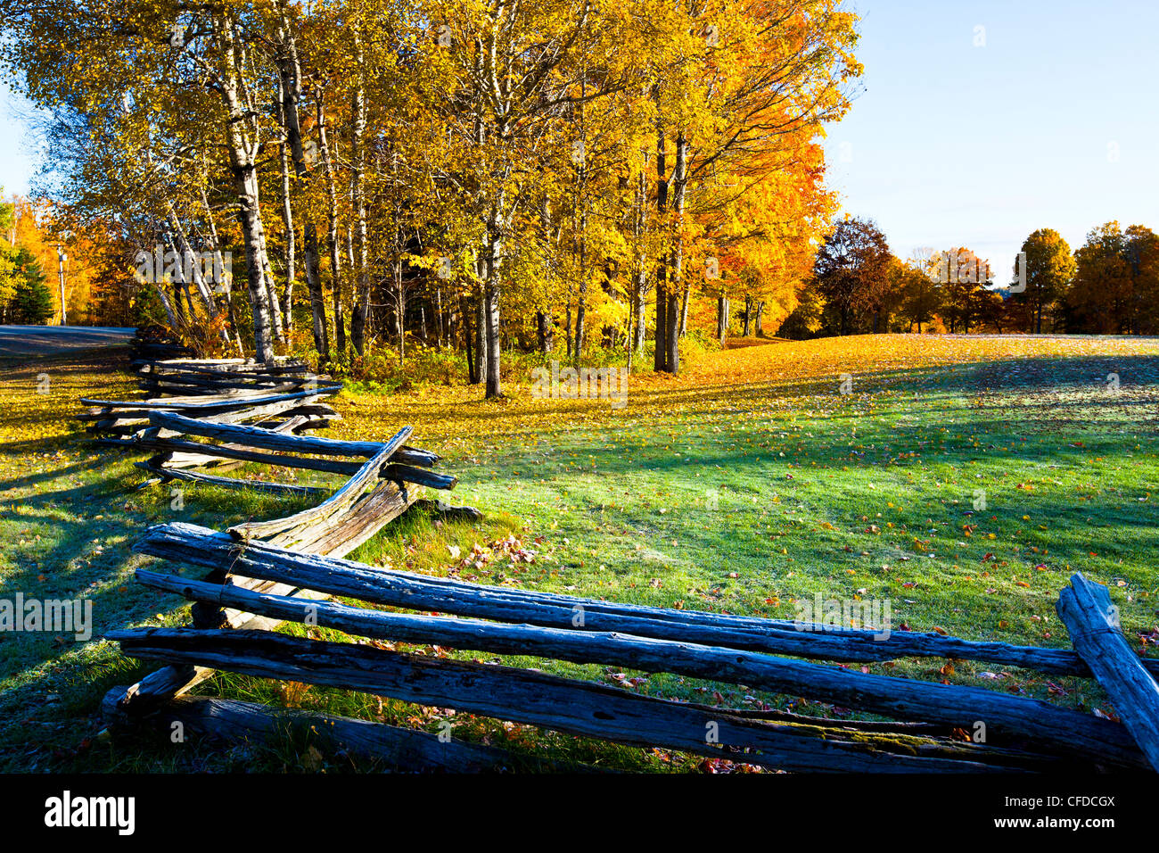 Fall foliage, Mactaquac Provincial Park, Saint John River Valley, New