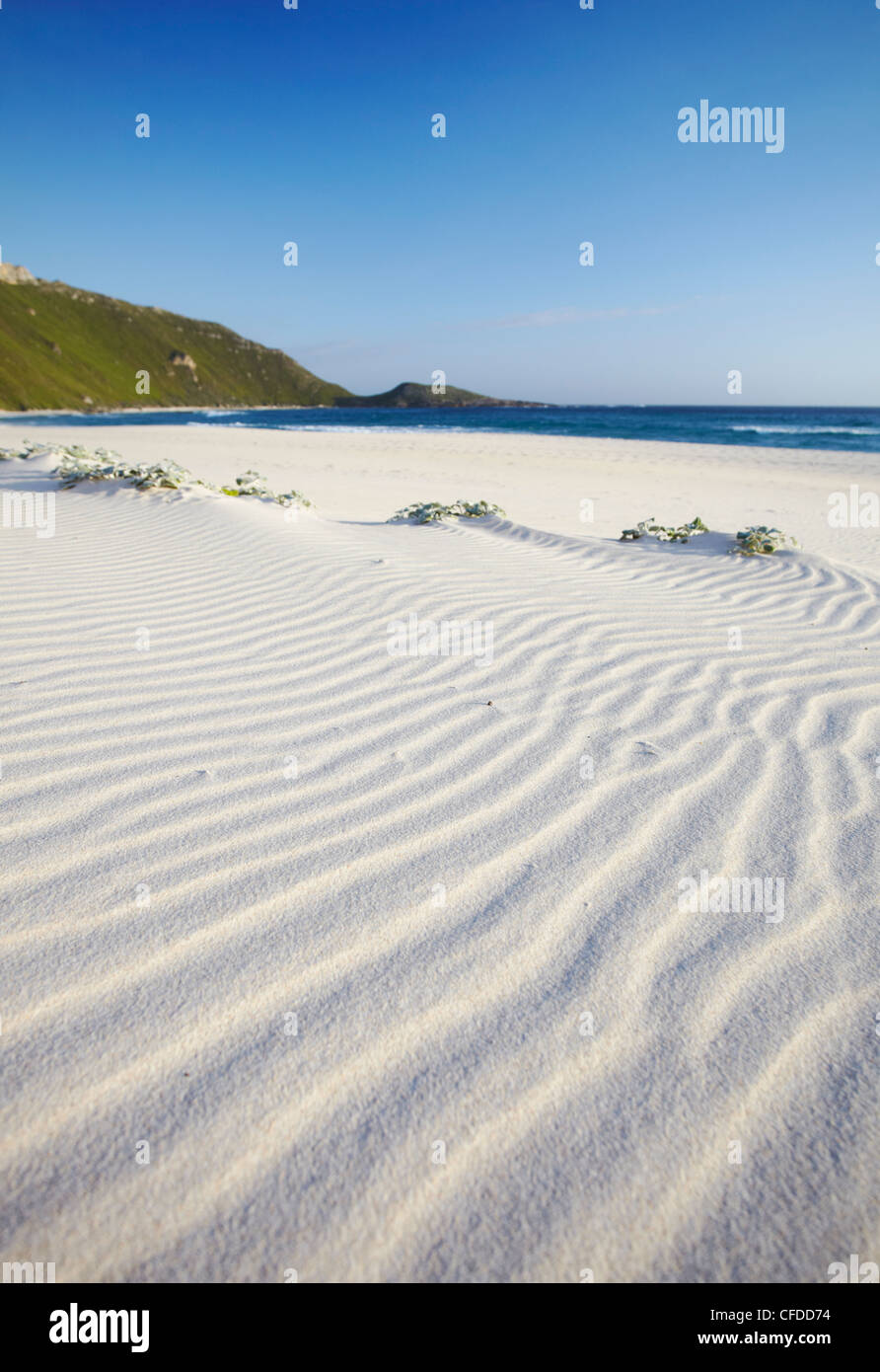 Conspicuous Cliffs beach, Walpole, Western Australia, Australia, Pacific Stock Photo