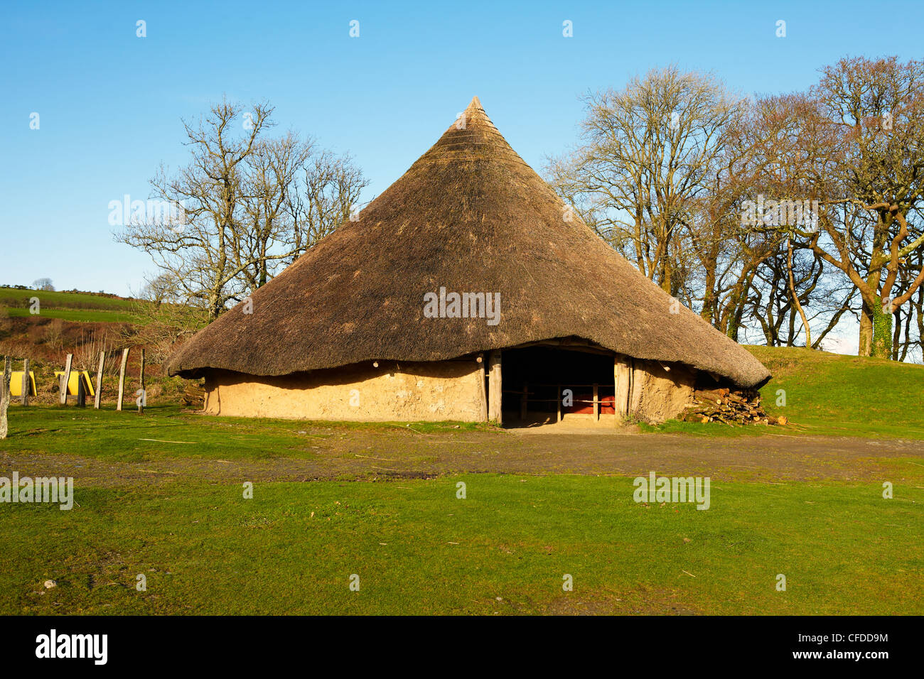 Iron Age Roundhouse, Castell Henllys, Pembrokeshire, Wales, UK Stock Photo