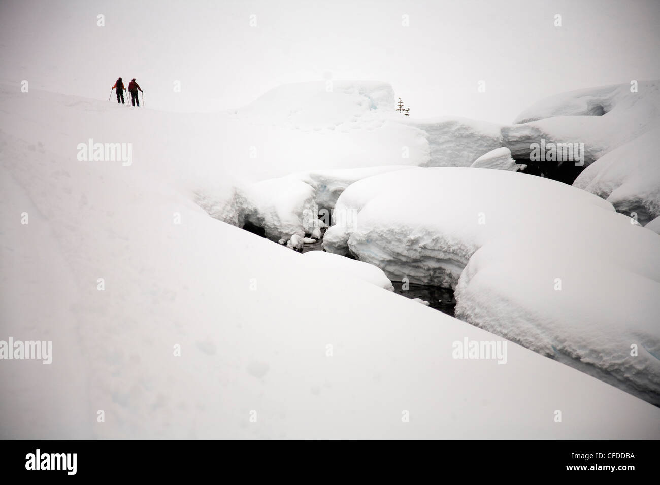Two female backcountry skiers skin up into the mountains near Mount Baker. Stock Photo