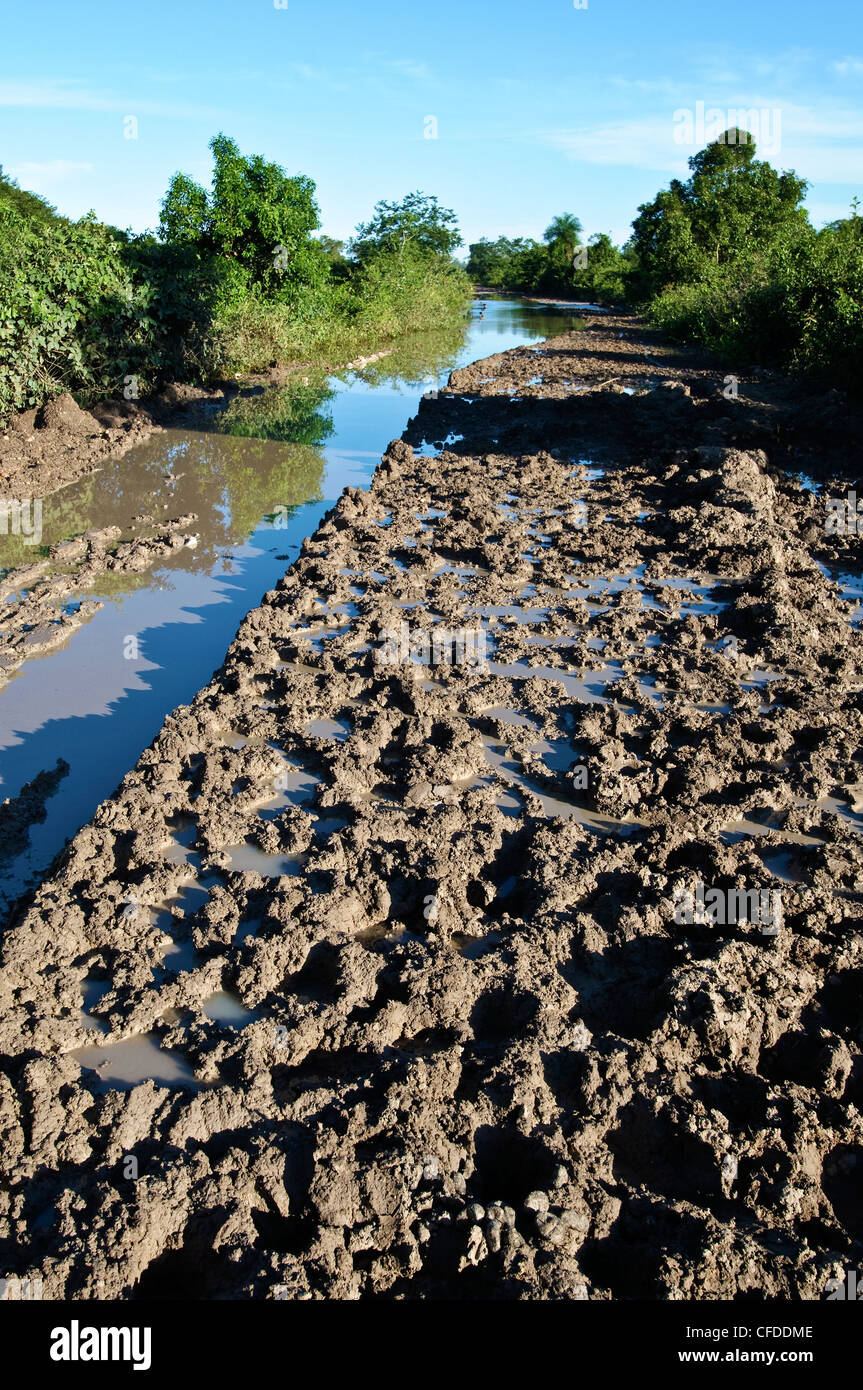 Flooded section of the Trans-Pantanal Highway, Pantanal wetlands, Southwestern Brazil, South America Stock Photo