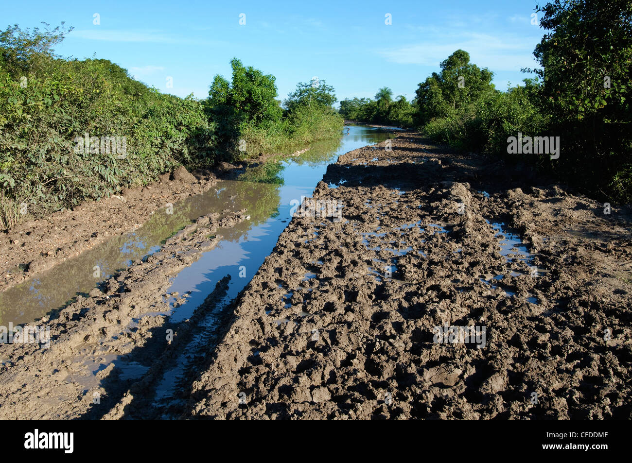 Flooded section of the Trans-Pantanal Highway, Pantanal wetlands, Southwestern Brazil, South America Stock Photo