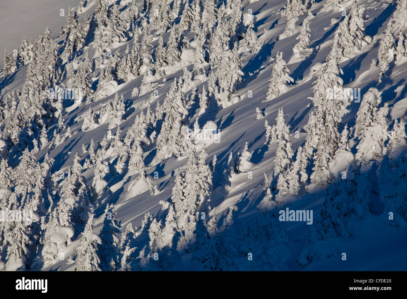 Golden kicking horse mountain resort hi-res stock photography and ...