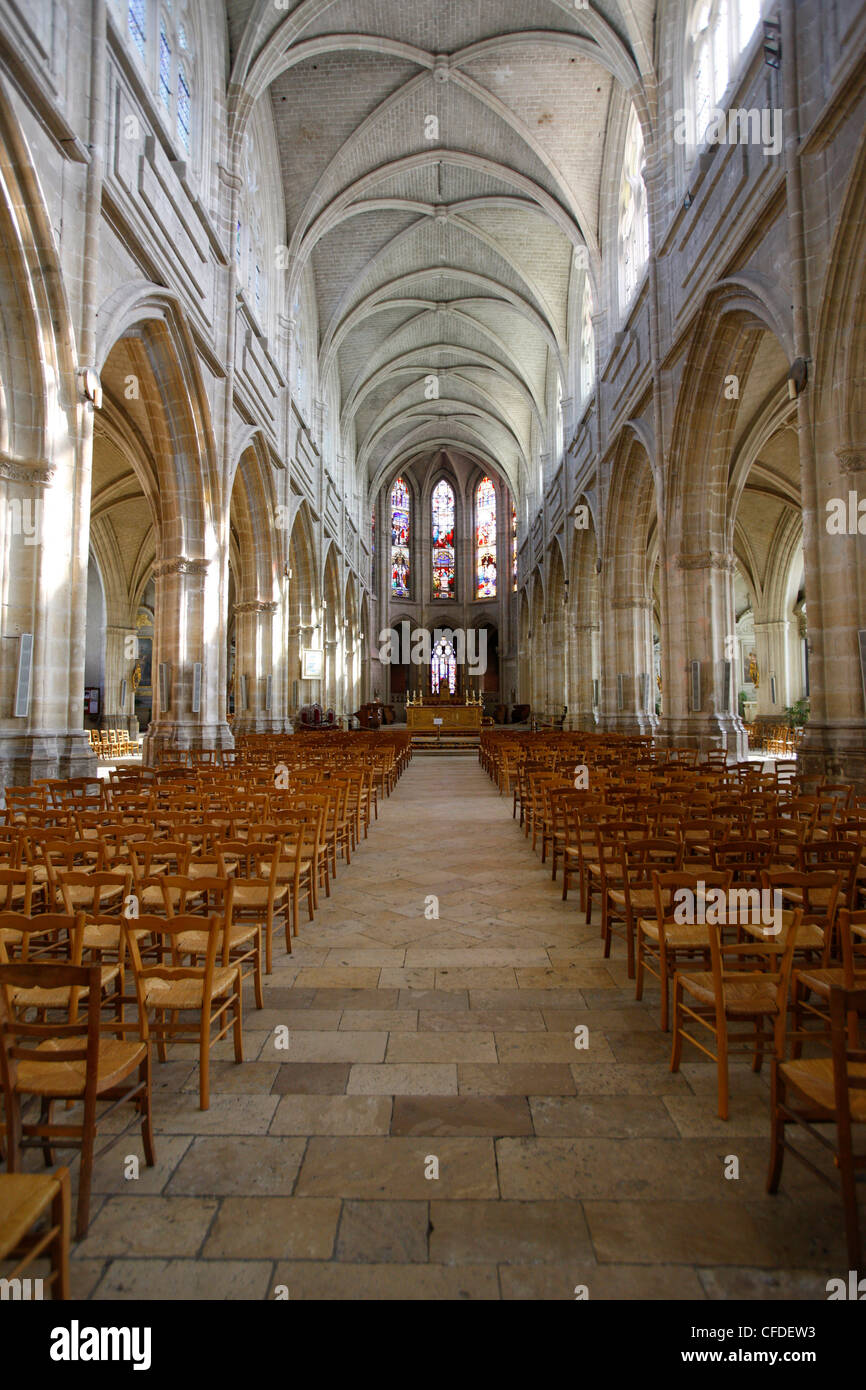 Saint-Louis cathedral, Blois, Loir-et-Cher, France, Europe Stock Photo