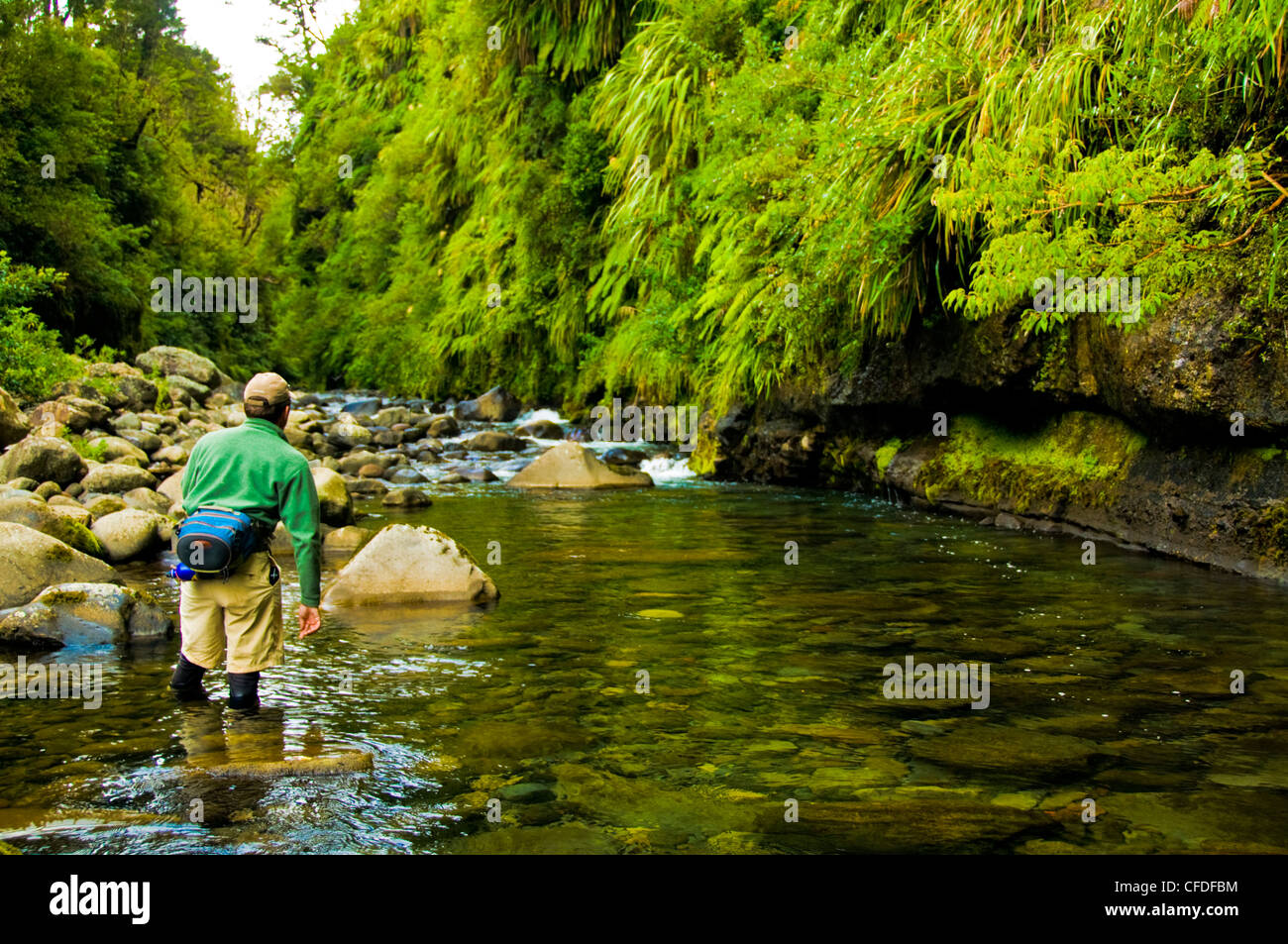 Man fly fishing, Wanganui River, North Island, New Zealand Stock Photo