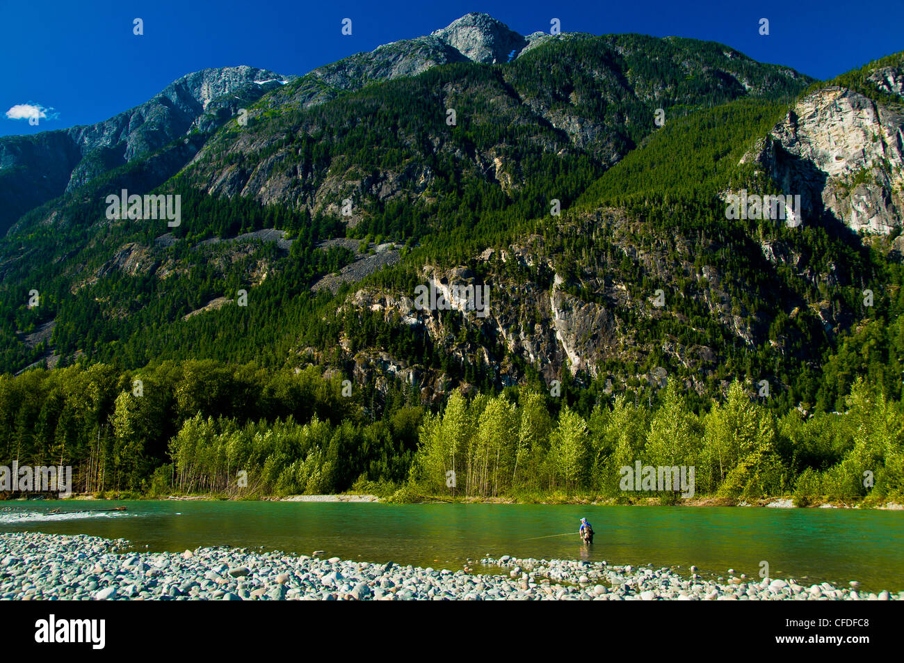 Man fly fishing, Dean River, British Columbia, Canada Stock Photo