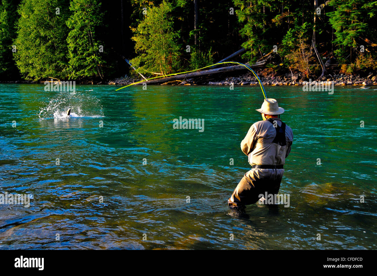 Man fly fishing, Copper River, British Columbia, Canada Stock Photo Alamy