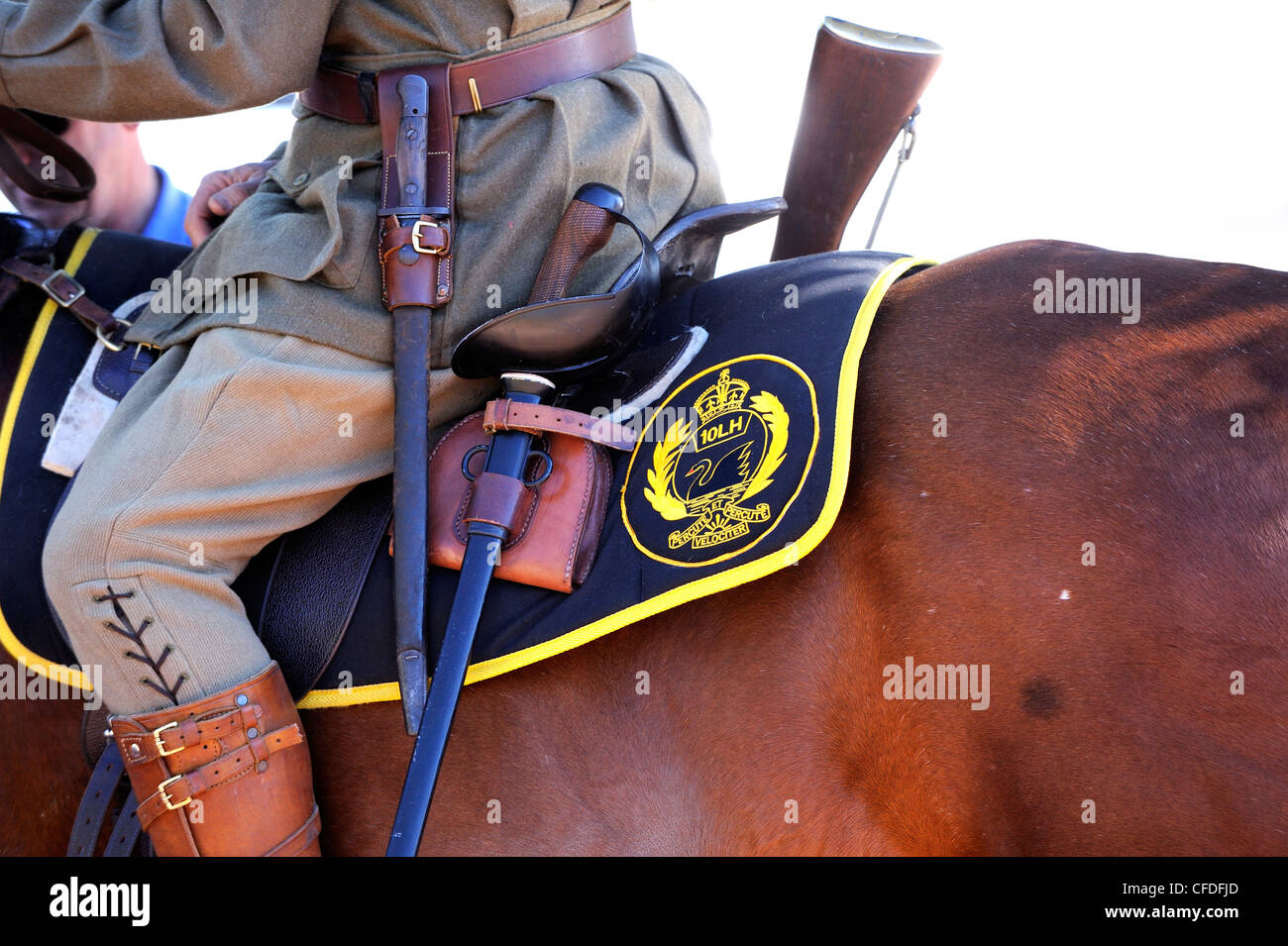 Horseman and horse decked in colours and uniform of WW1 10th Light