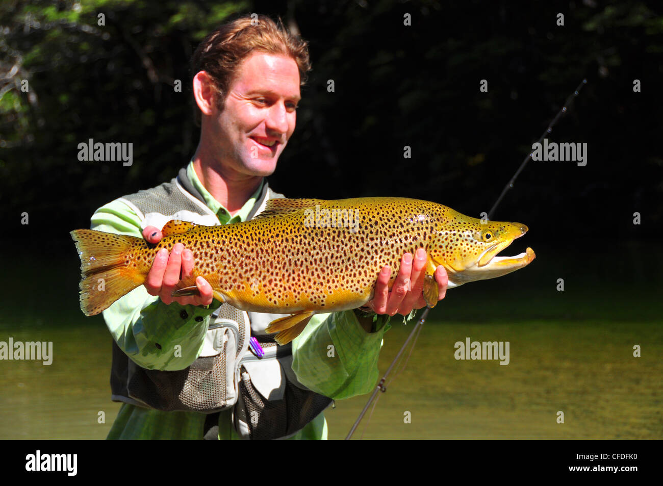 Man holding brown trout, South Island, New Zealand Stock Photo Alamy