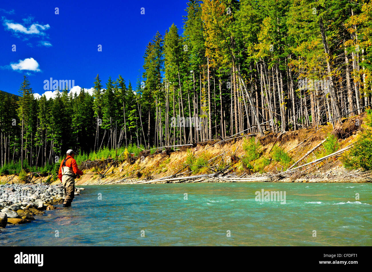 Man fly fishing, Copper River, British Columbia, Canada Stock Photo Alamy