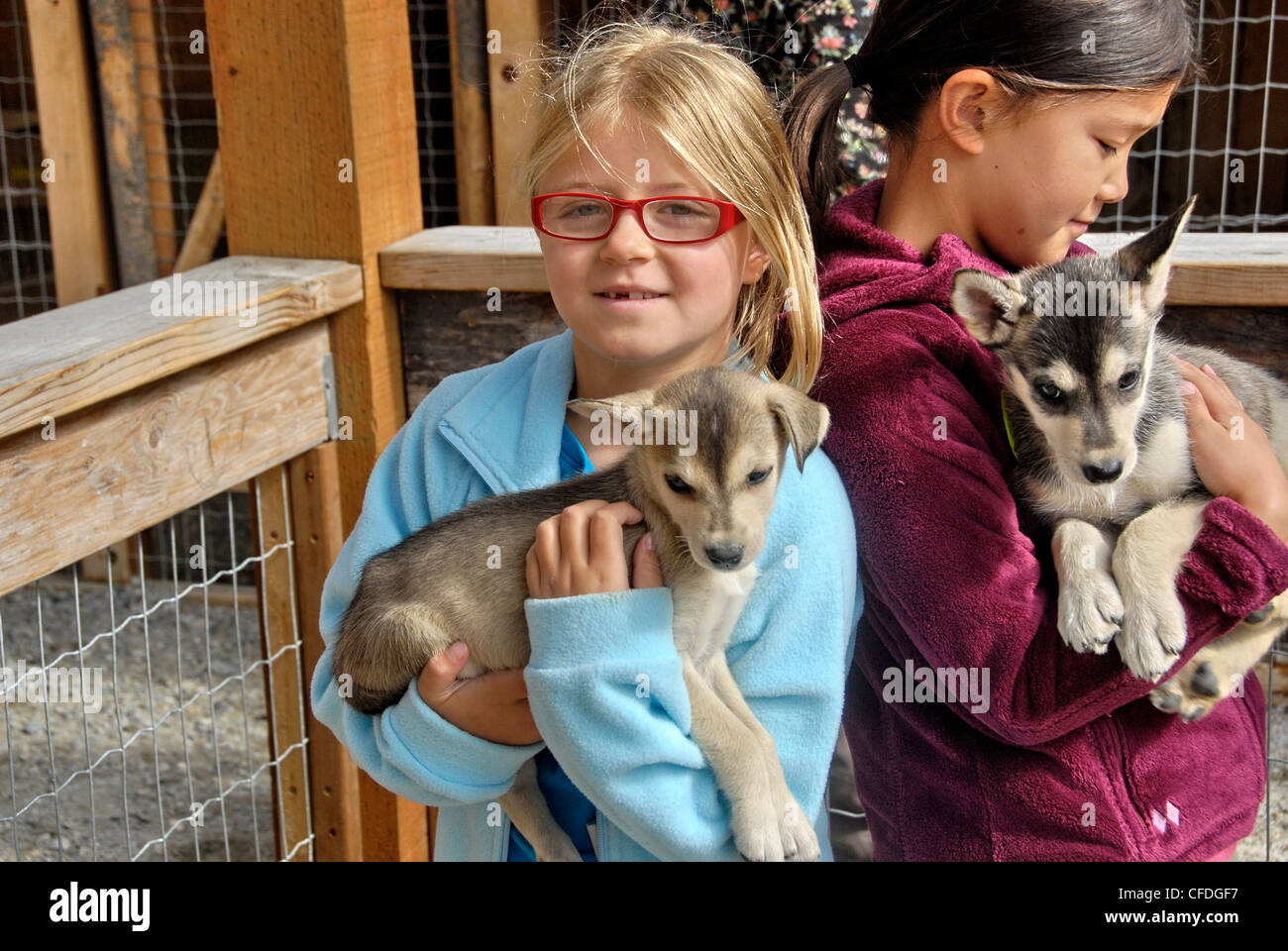 Two girls holding sled dog puppies at Juneau Mushing Camp located in Klondike Gold Fields in Skagway, Alaska Stock Photo