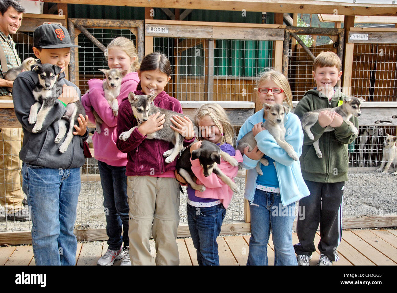 Mushers camp and sled dog hires stock photography and images Alamy