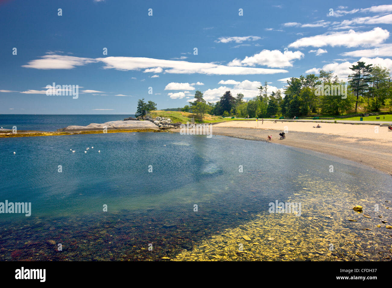 Beach, Point Pleasant Park, Halifax, Nova Scotia, Canada Stock Photo