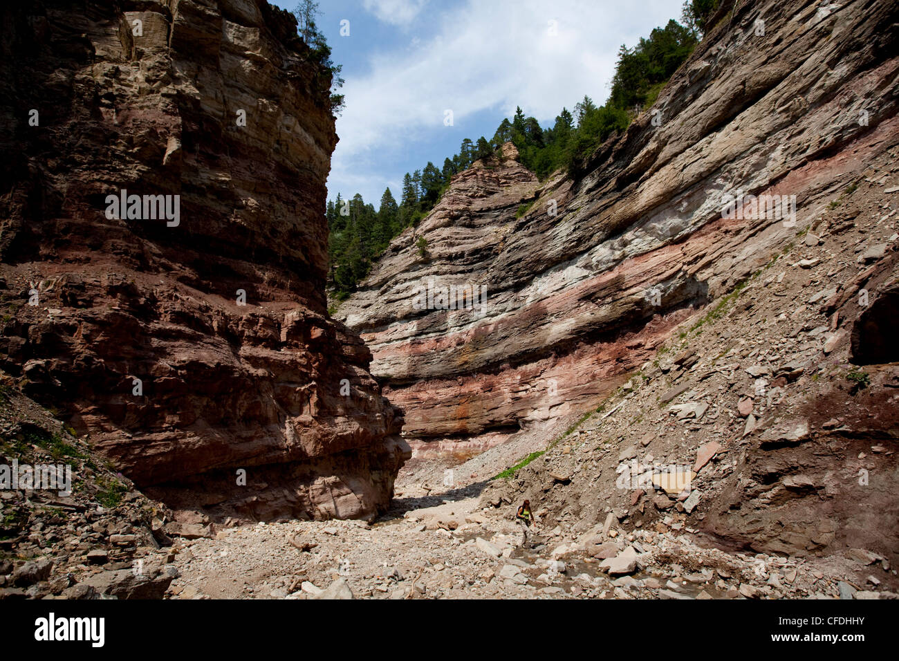 Geoparc Bletterbach, big gorge dug in the rock, in Aldein, Bolzano province, South Tyrol, Italy, Europe Stock Photo