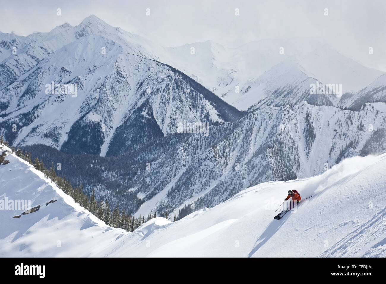 Young man skiing in Super Bowl, Kicking Horse Mountain Resort, British Columbia, Canada. Stock Photo