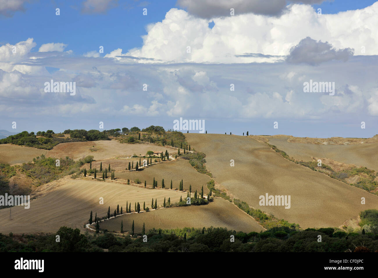 Alley of cypresses under clouded sky, Tuscany, Italy, Europe Stock Photo