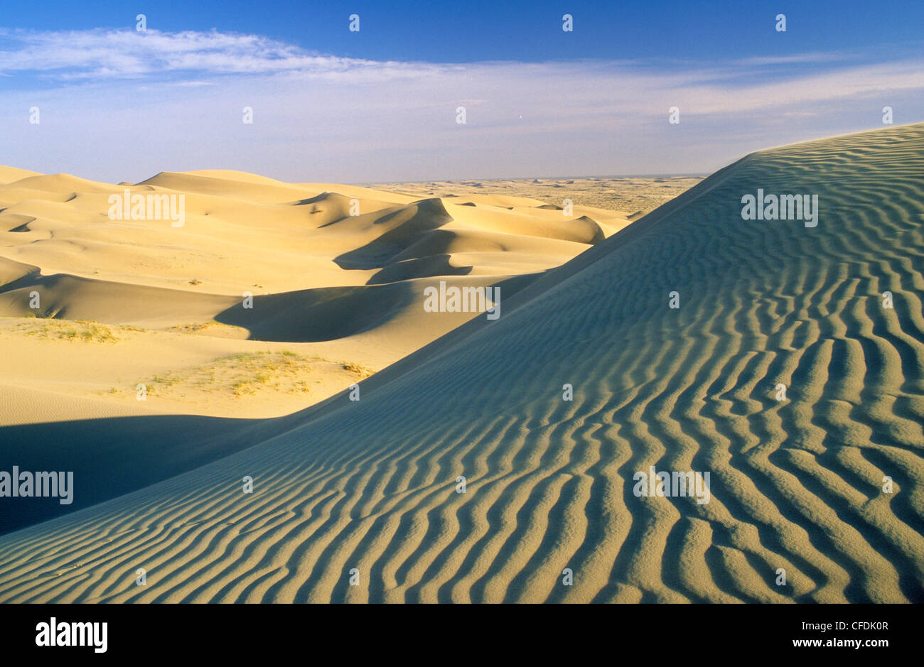 Algodones Dunes, Sonoran Desert, southeastern California, United States of America Stock Photo