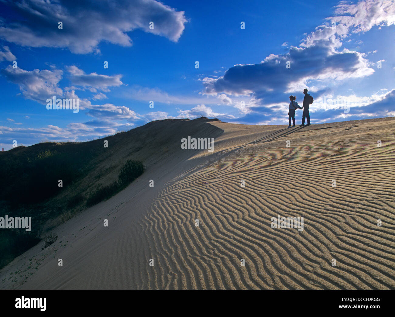 Two husbands hi-res stock photography and images image