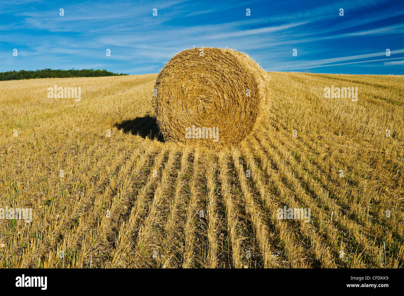 Round straw bale and farmland, Tiger Hills, Manitoba Stock Photo