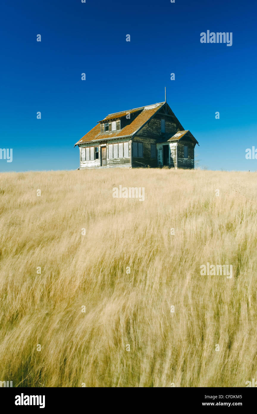 Abandoned farm house, wind-blown prairie grasses near Pangman, Saskatchewan, Canada Stock Photo