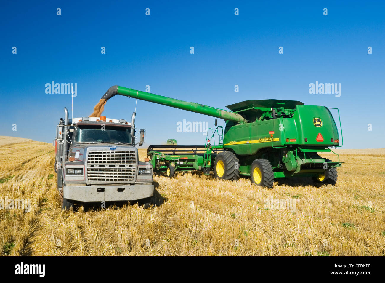 A combine empties spring wheat into a farm truck, near Pangman, Saskatchewan, Canada Stock Photo