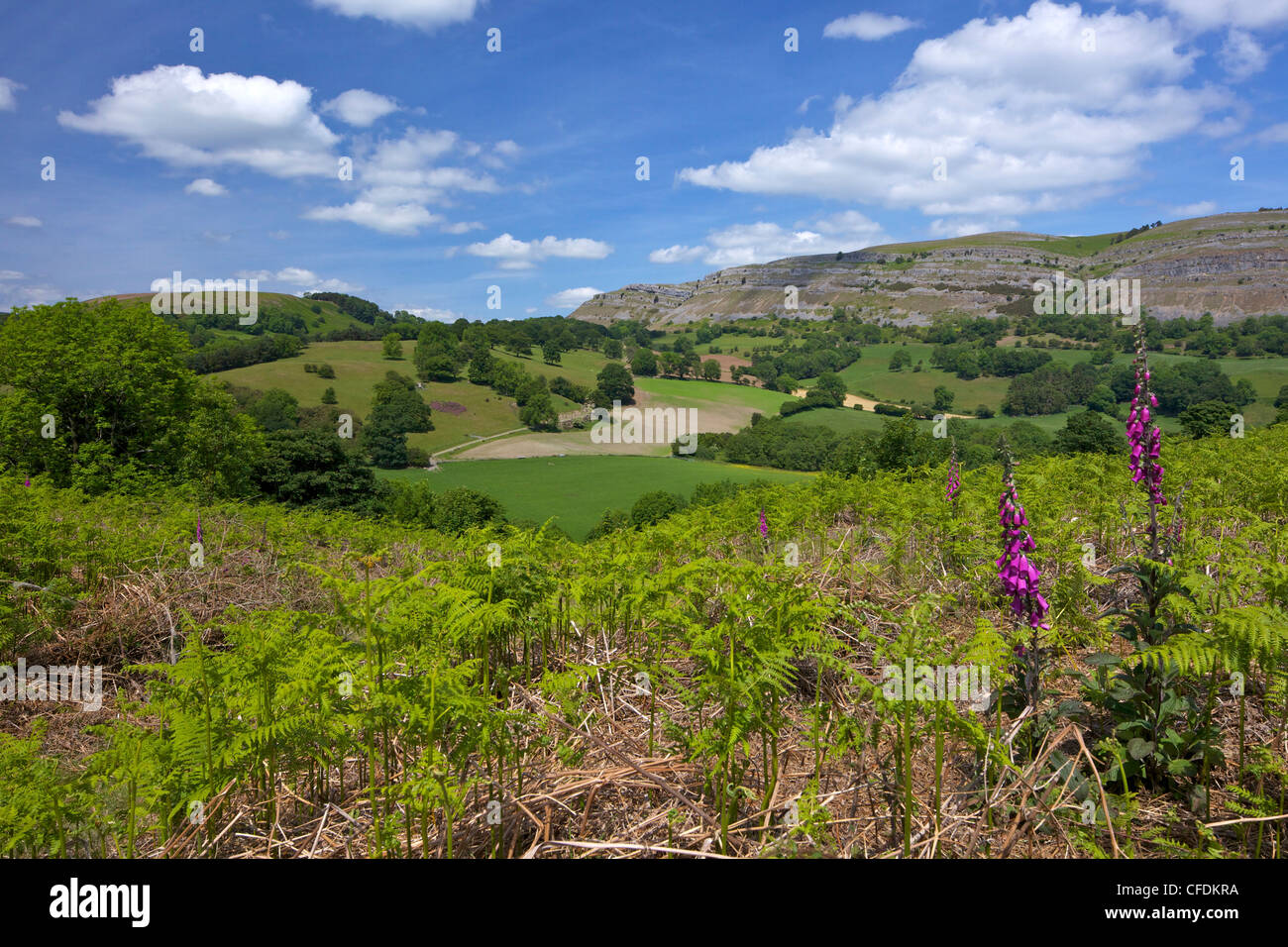 View towards limestone escarpment of Creigiau Eglwyseg, from Castell Dinas Bran, Llangollen, Denbighshire, Wales, United Kingdom Stock Photo