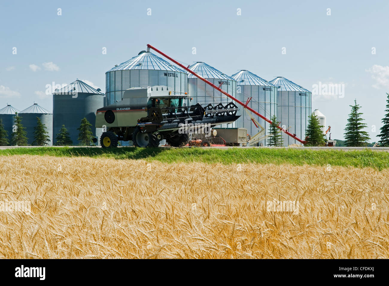 Black storage bins hires stock photography and images Alamy