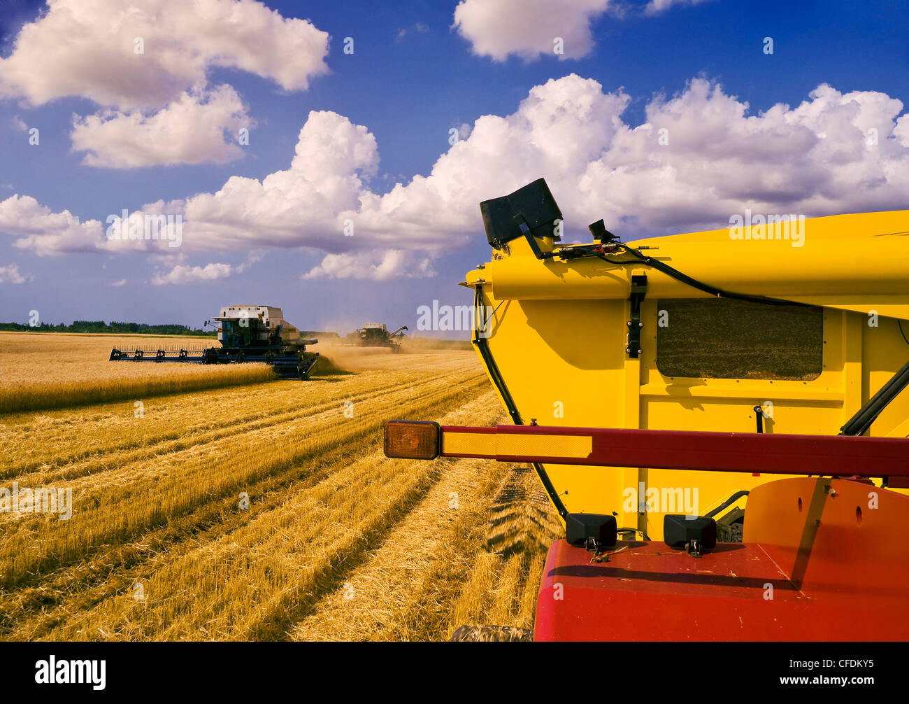 Two combines harvesters work a field of winter wheat , grain wagon in