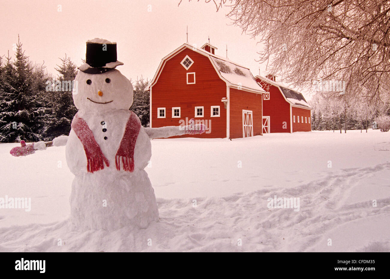Oakbank manitoba hires stock photography and images Alamy