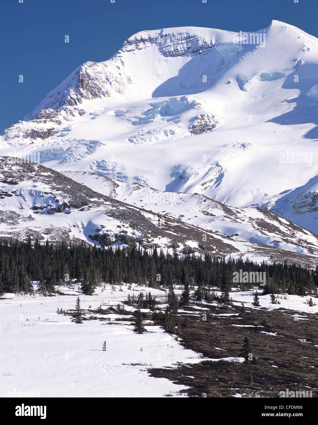 Mount Athabaska and Silverhorn Peak, Jasper National Park, UNESCO World Heritage Site, Alberta, Canada Stock Photo