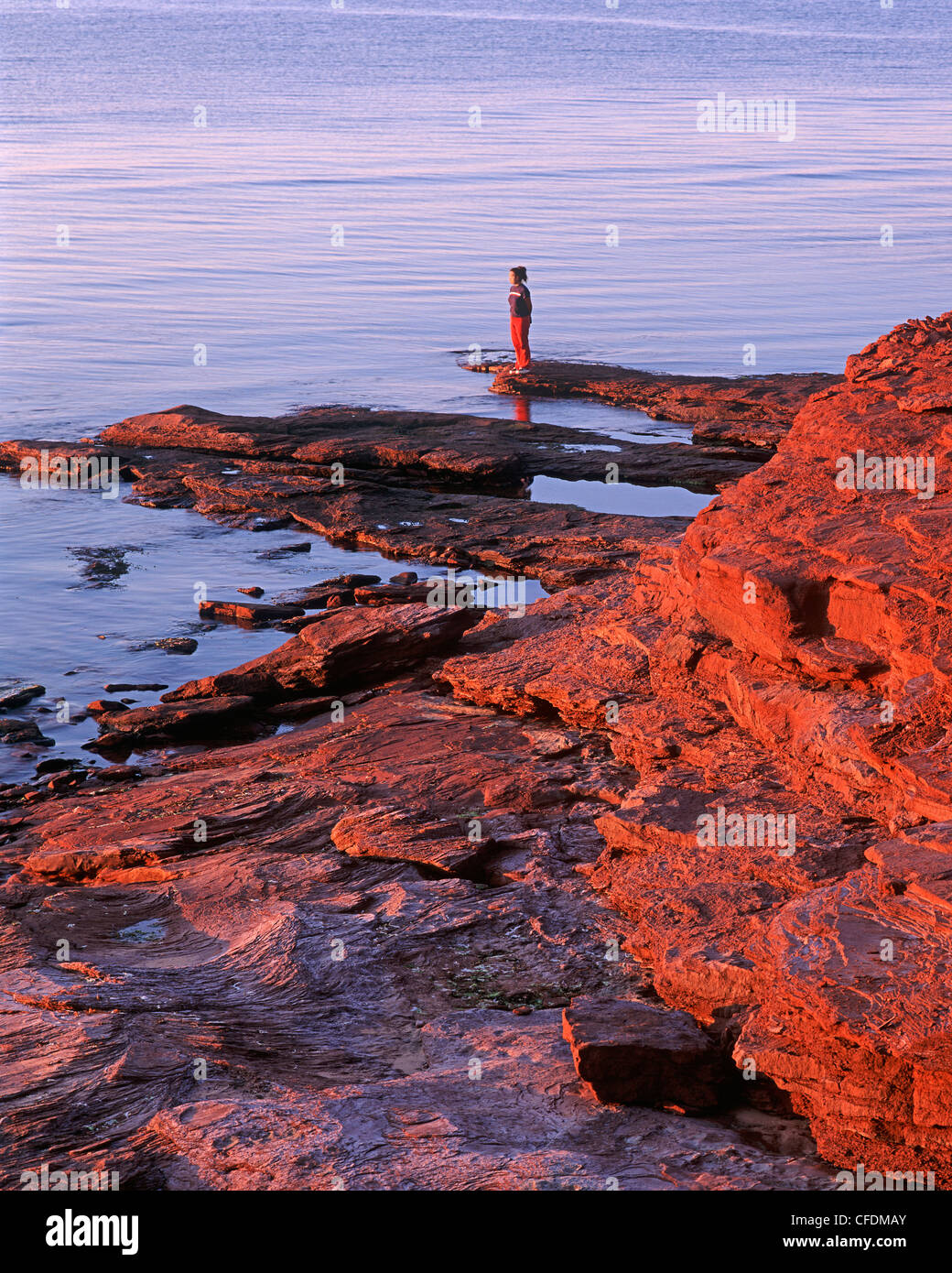 Orby Head, Cavendish Beach, Prince Edward Island National Park, Prince Edward Island, Canada Stock Photo