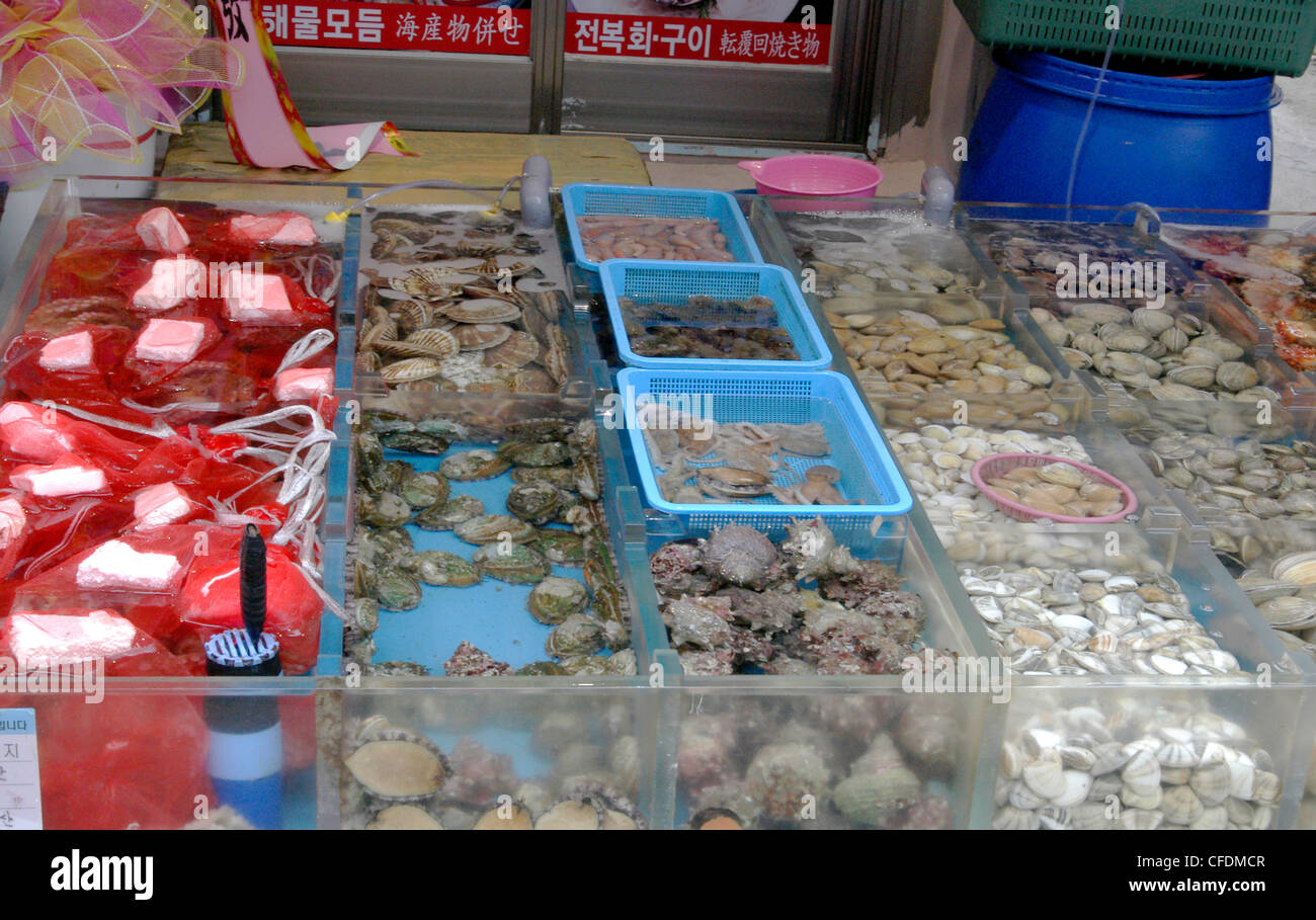 Fish Market in Busan, South Korea. Stock Photo