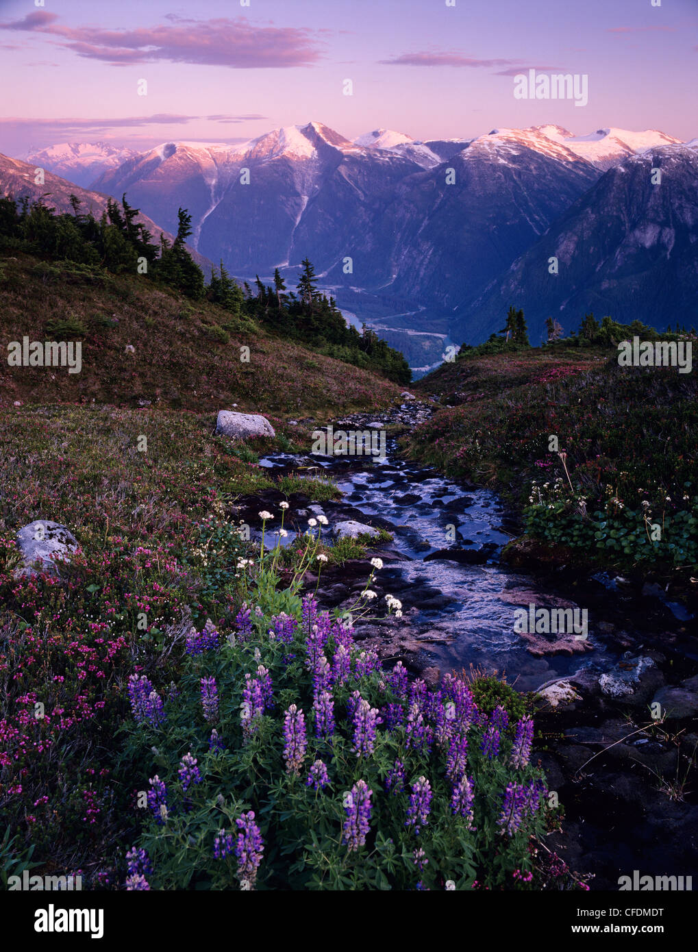 Kitlope river hi-res stock photography and images - Alamy