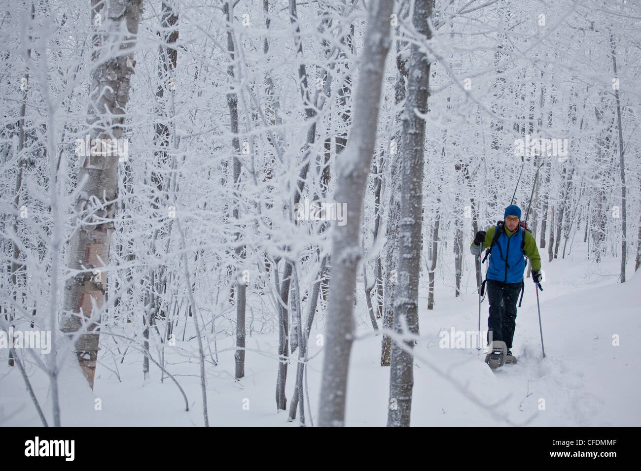 A man snowshoeing to go backcountry skiing in a wintery forest near Sherbrooke, Eastern