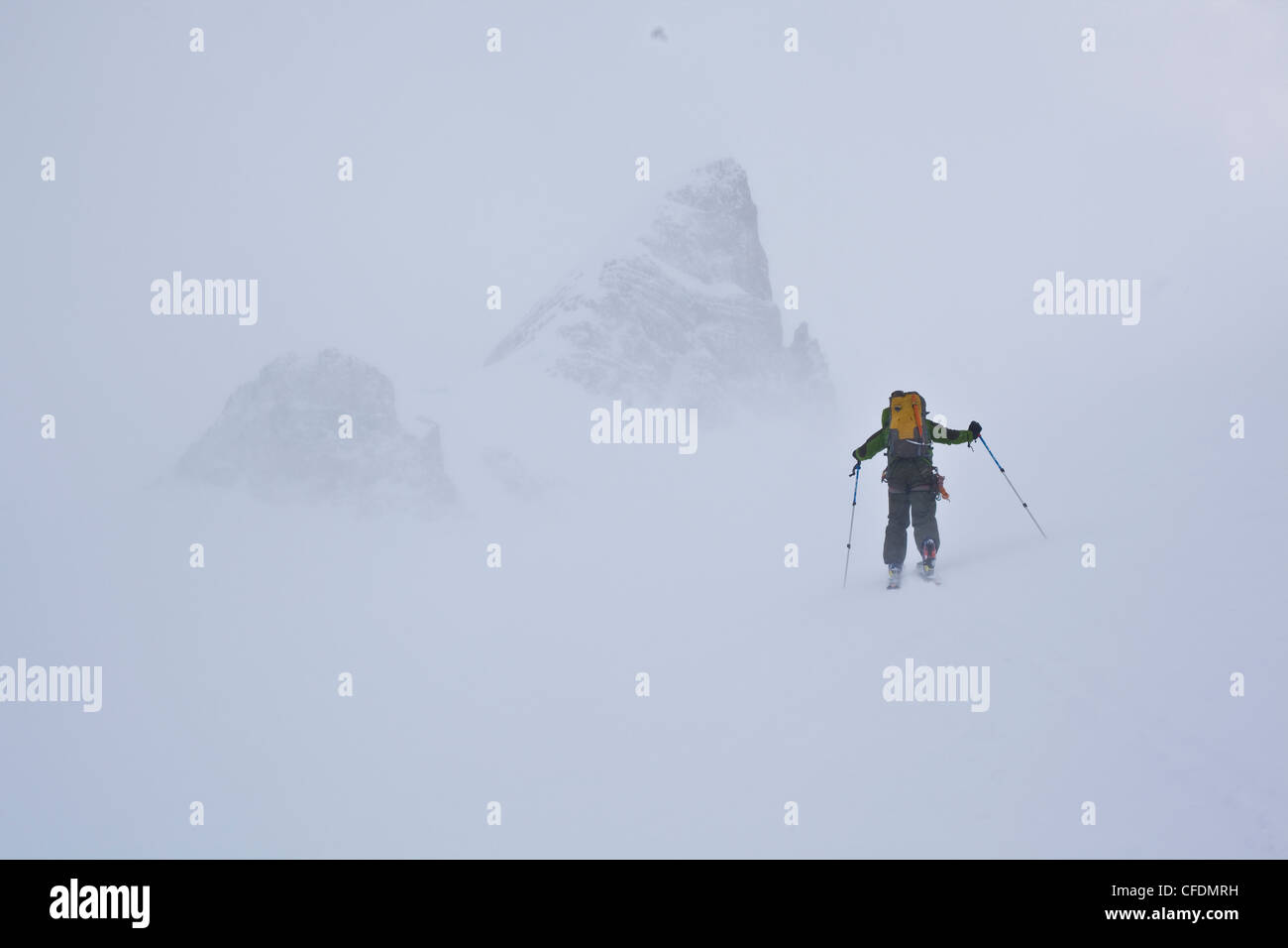 A man ski touring in near whiteout conditions. Wapta Icefields, Banff National Park, Alberta, Canada Stock Photo