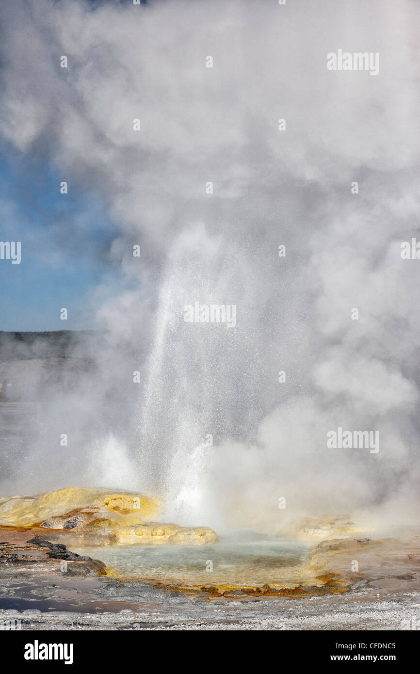 Clepsydra geyser in Yellowstone National Park Stock Photo