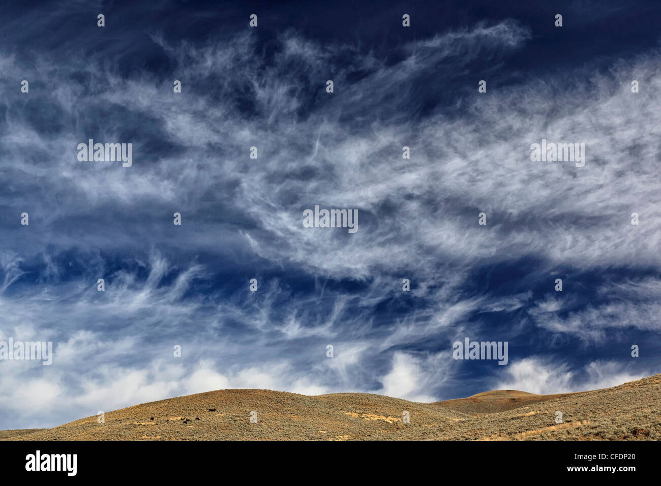 Classic frontal cirrus cloud over head the hills in Yellowstone's Lamar Valley Stock Photo