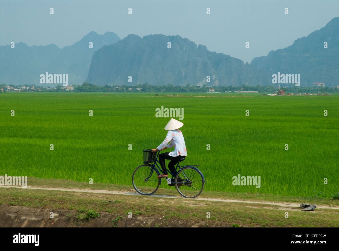 Vietnamese woman on bicycle, Tam Coc, Kenh Ga, Ninh Binh area, Vietnam, Indochina, Southeast Asia, Asia Stock Photo