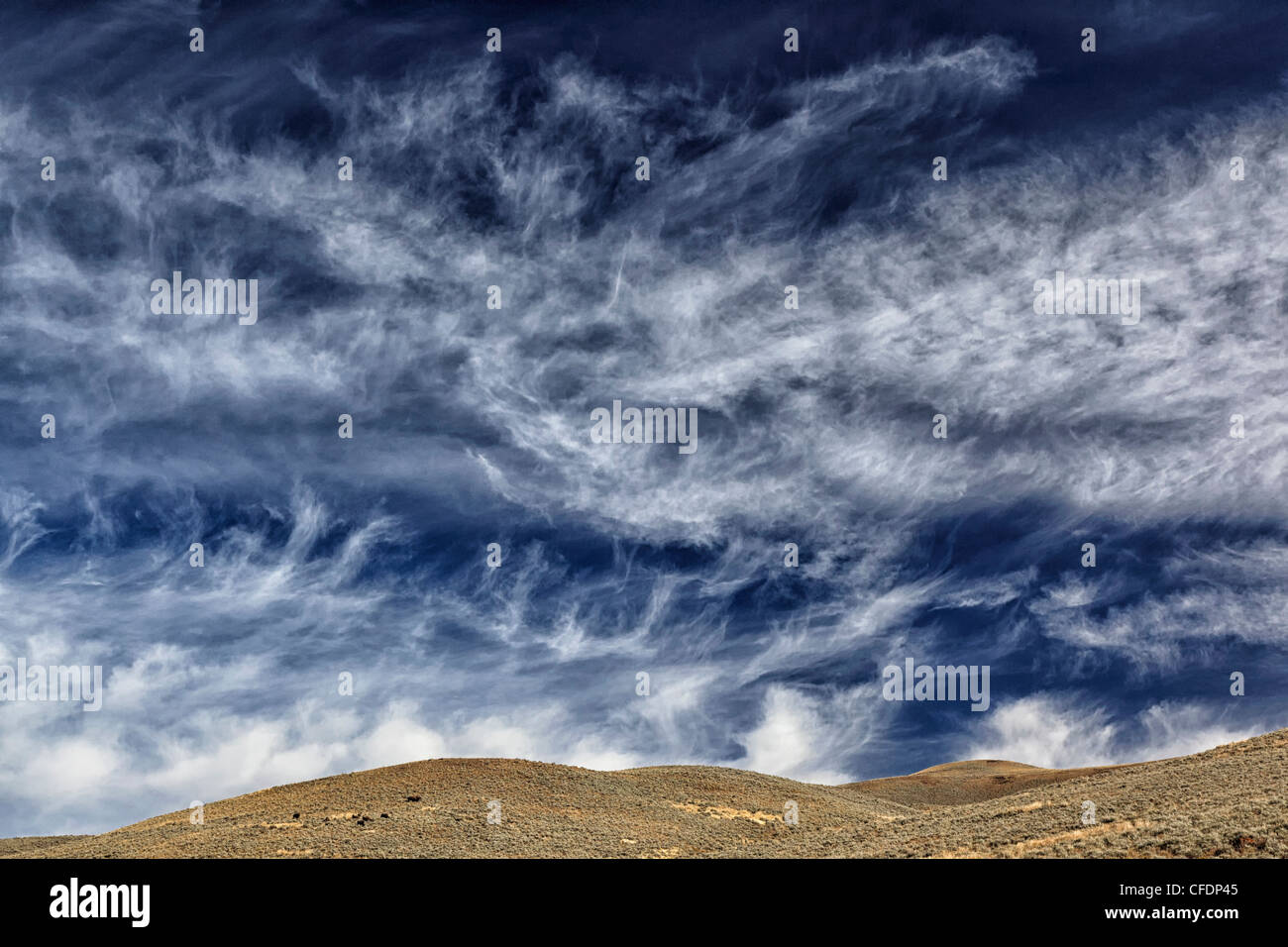 Classic frontal cirrus cloud over head the hills in Yellowstone's Lamar Valley Stock Photo