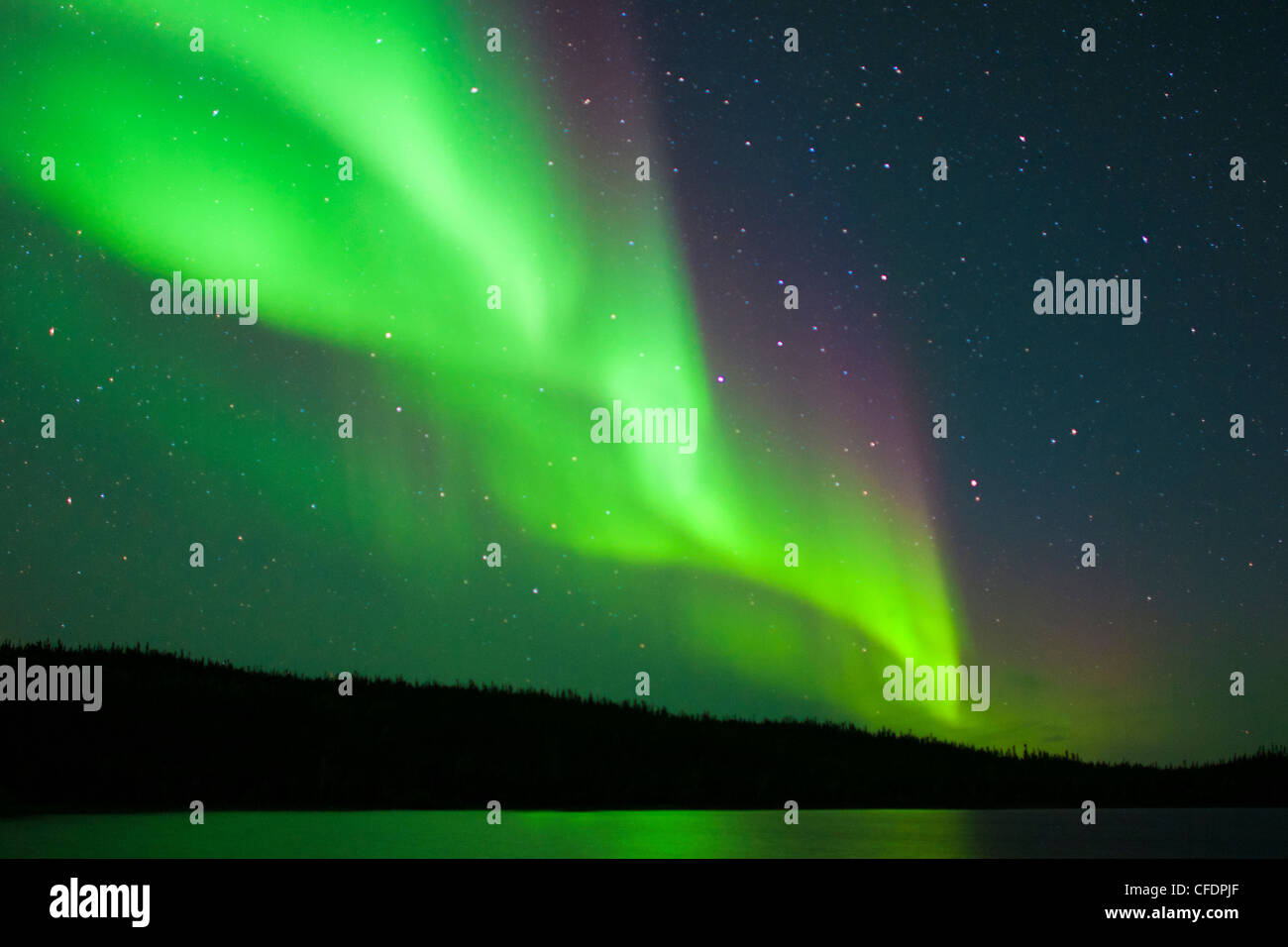 Aurora borealis (northern lights), boreal forest, Yellowknife environs, Northwest Territories, Canada Stock Photo