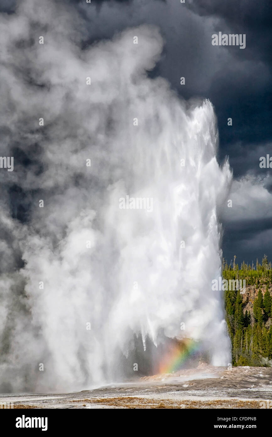 Old faithful erupts against a menacing oncoming thunderstorm Stock Photo