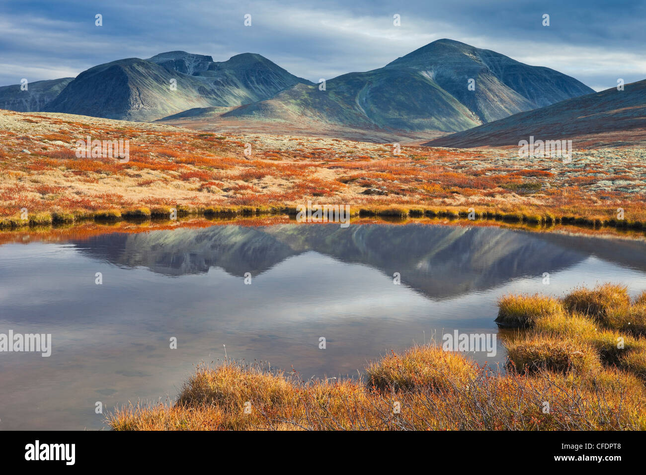 Reflection of Rondslottet mountain in a lake, Rondane National Park, Norway, Europe Stock Photo
