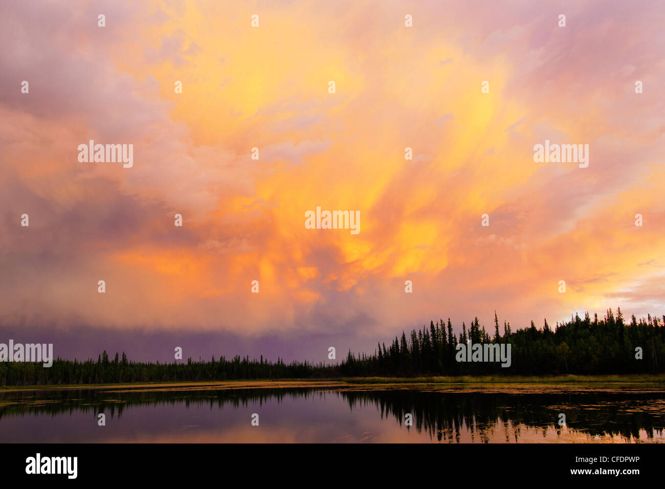 Boreal forest sunset, Yellowknife environs, Northwest Territories, northern Canada Stock Photo