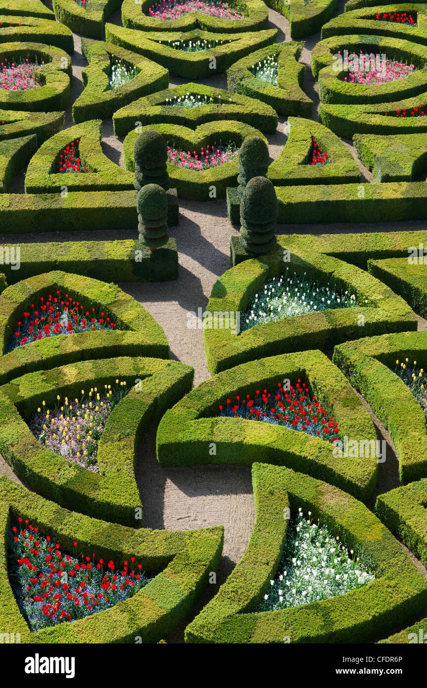 Formal garden at the Chateau de Villandry, UNESCO World Heritage Site, Loire Valley, Indre et Loire, France, Europe Stock Photo