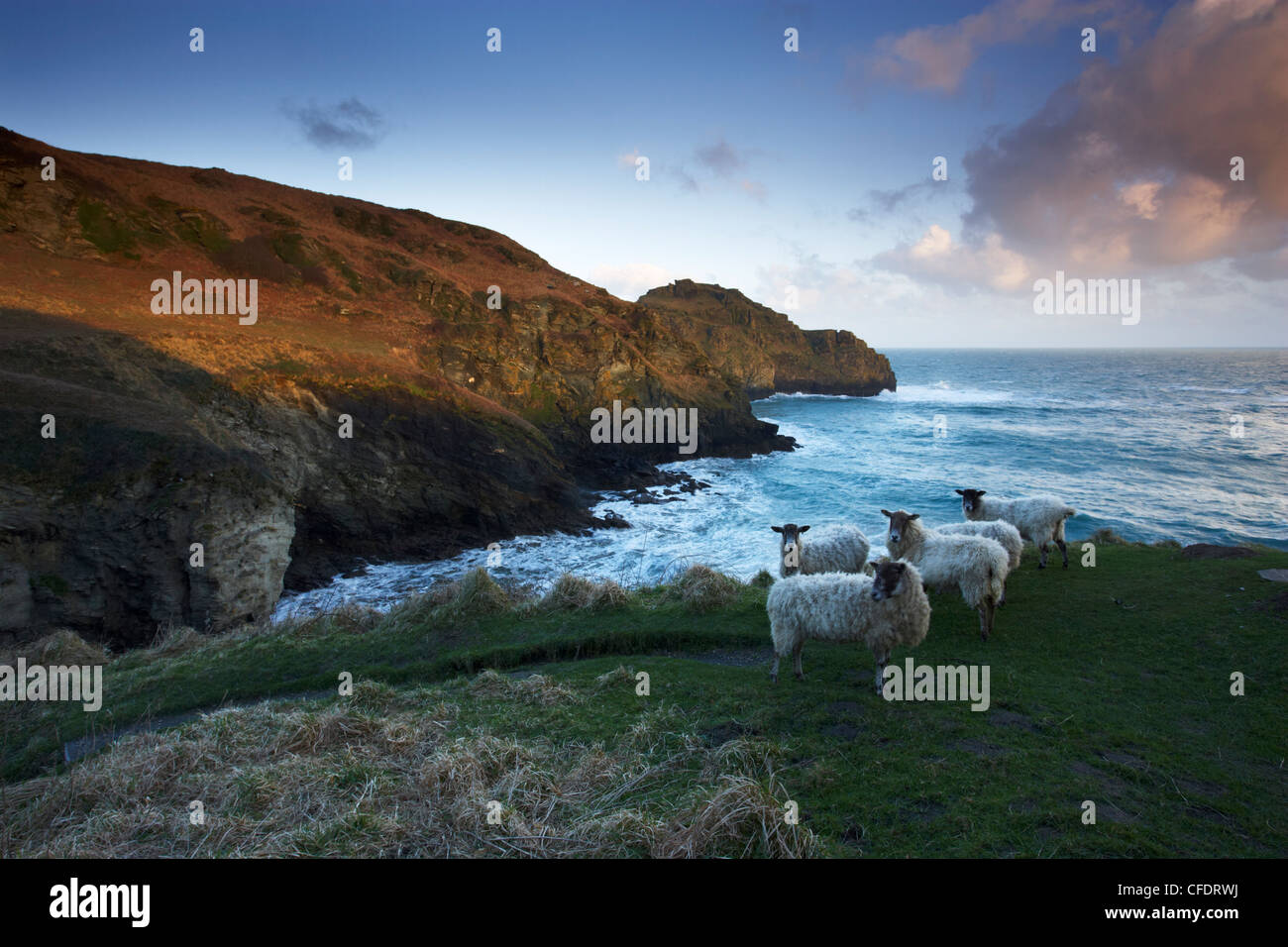 A view from the cliffs at Bossiney in North Cornwall on a March morning, Cornwall, England, United Kingdom, Europe Stock Photo