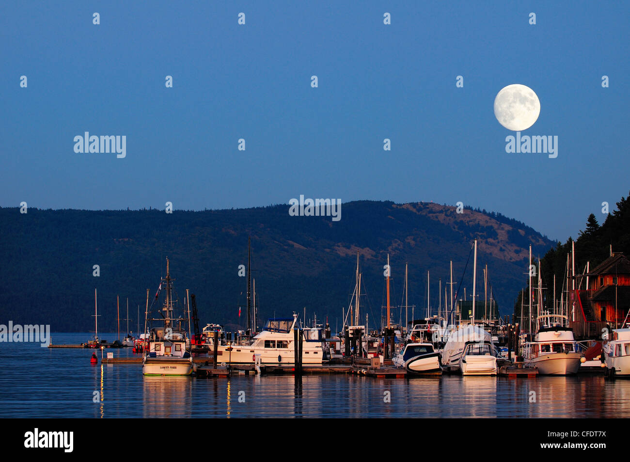 A full moon rising over a marina in Cowichan Bay, British Columbia