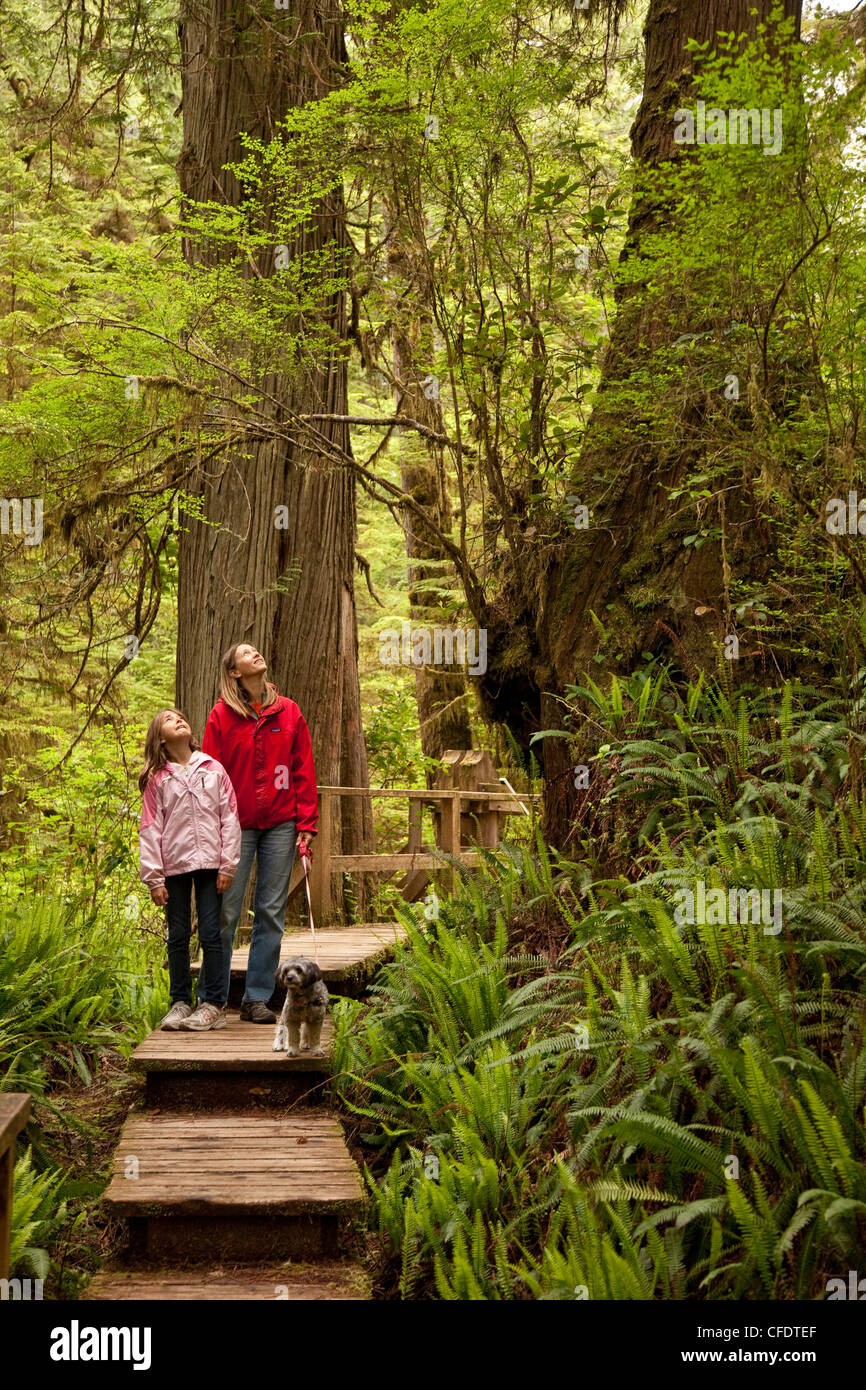 Mother and daughter check out Rainforst Trail, Pacific Rim National Park, near Tofino, BC, Canada. Stock Photo