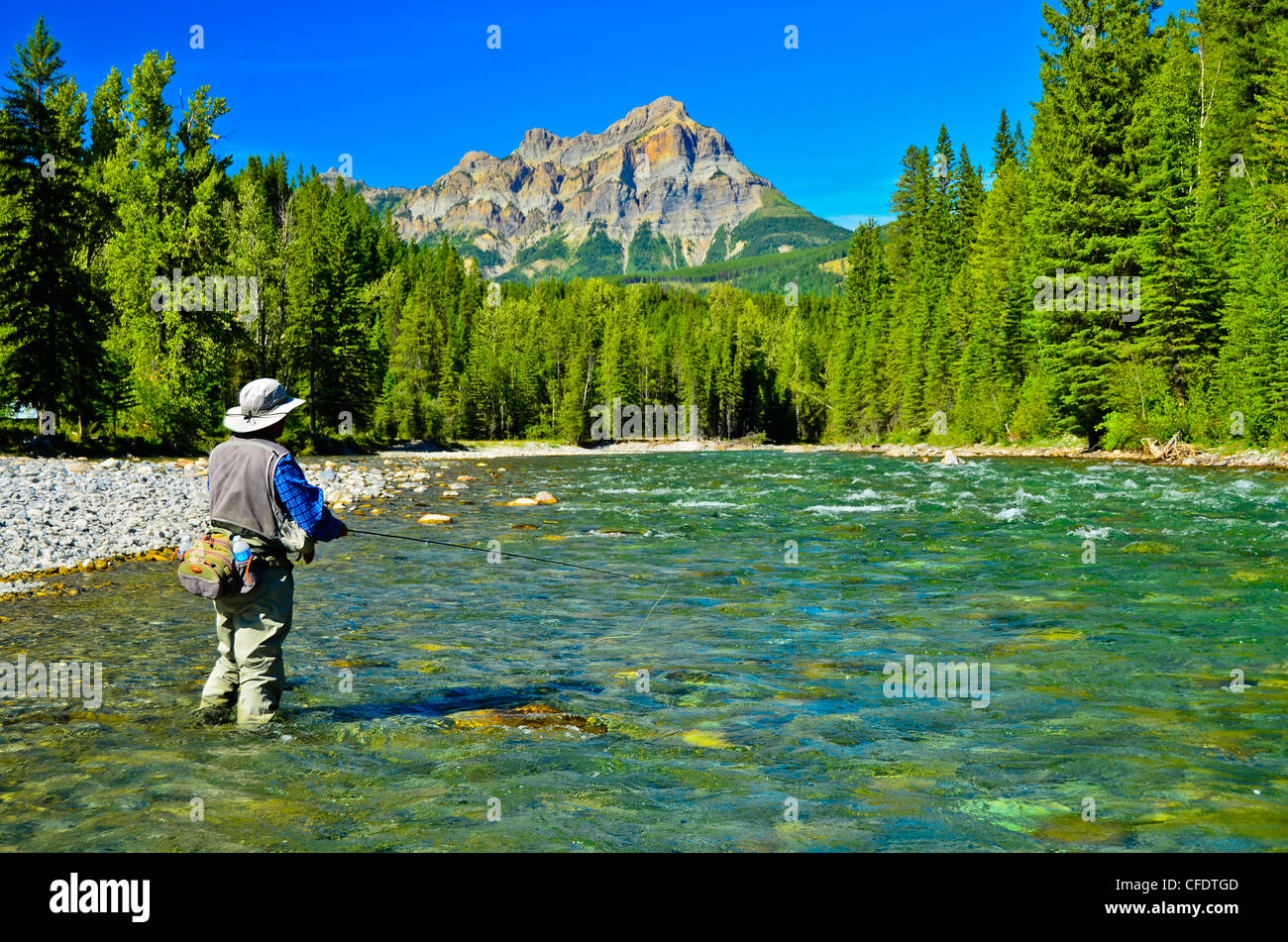 Fly fishing on the Bull River, British Columbia, Canada Stock Photo Alamy