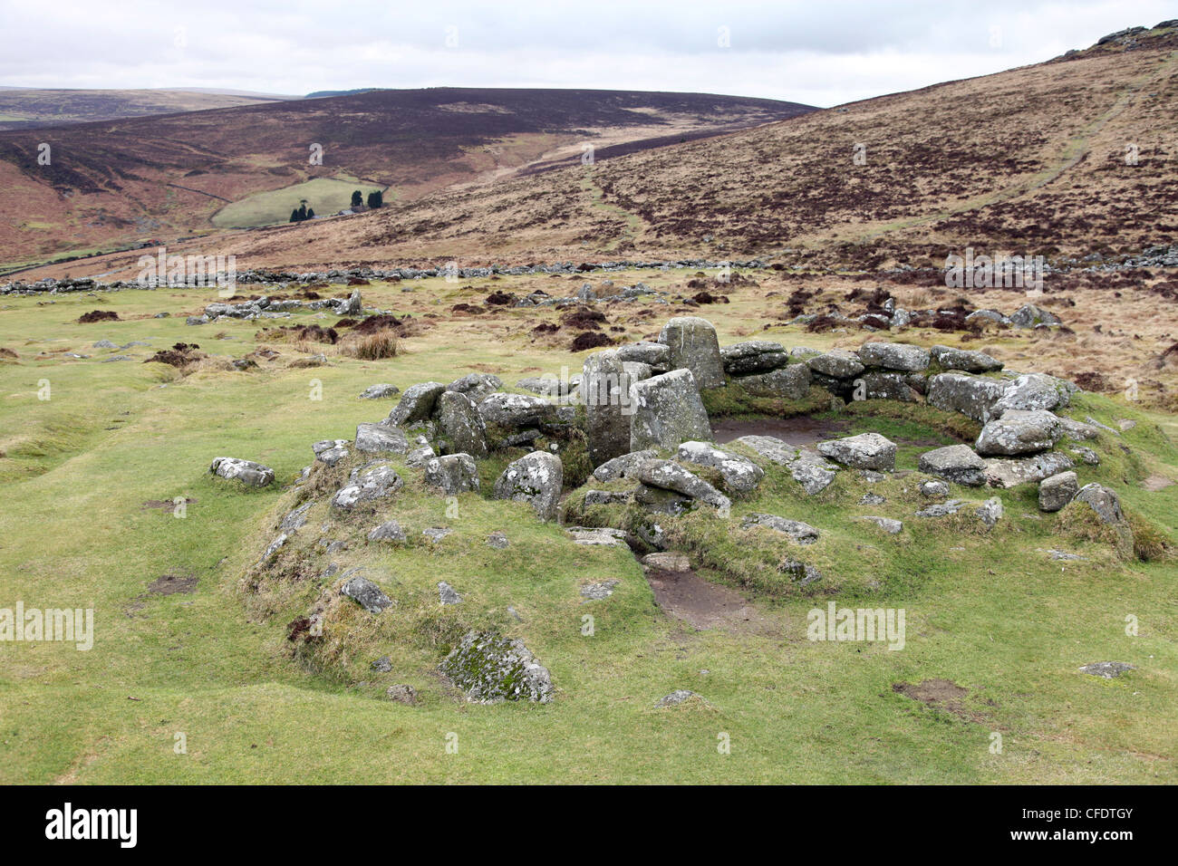 Ruins of a middle Bronze Age house, 3500 years old, at Grimspound, Dartmoor, Devon, England, United Kingdom, Europe Stock Photo