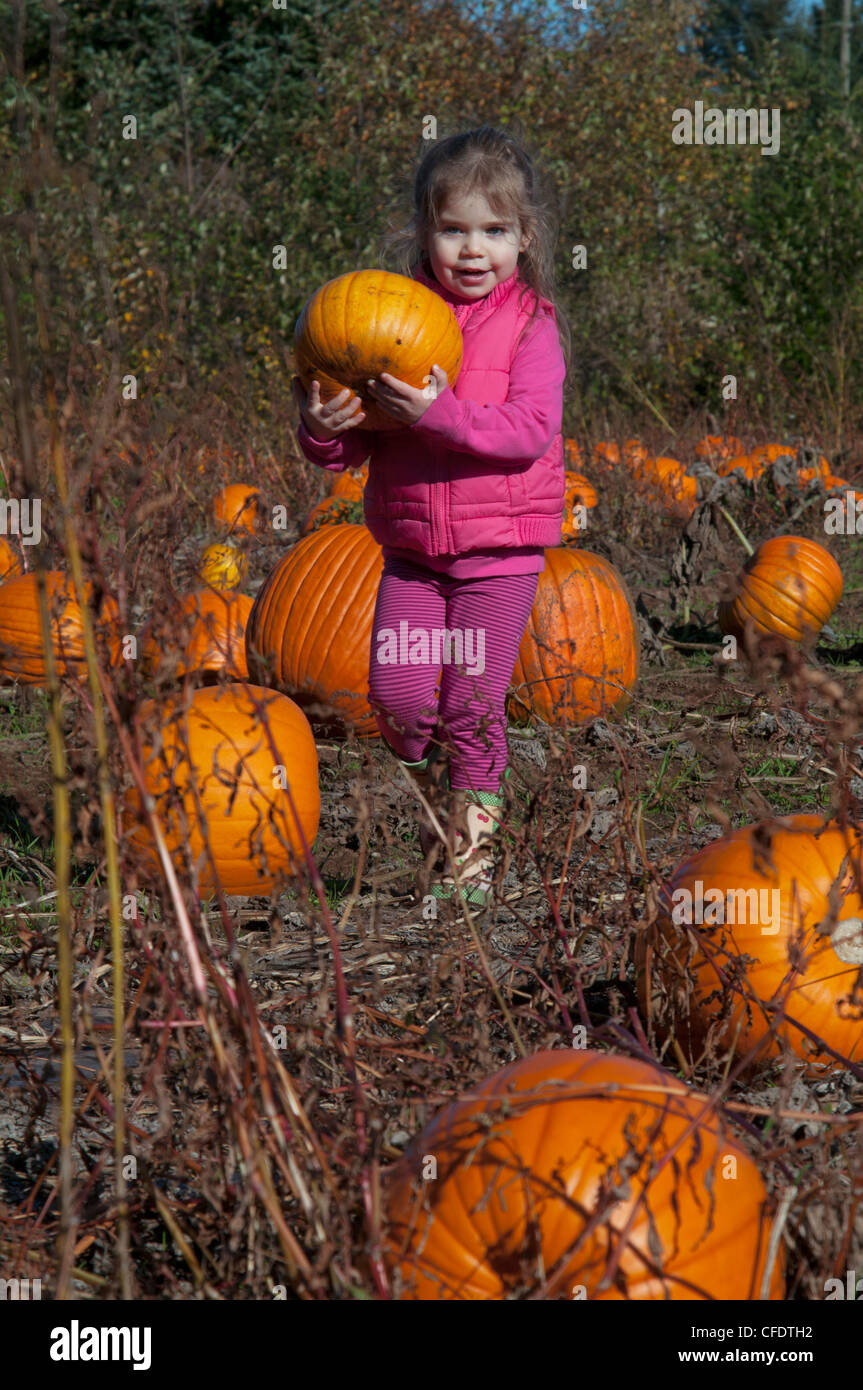 Young girl in pumpkin patch, Vancouver Island, BC, Canada Stock Photo ...